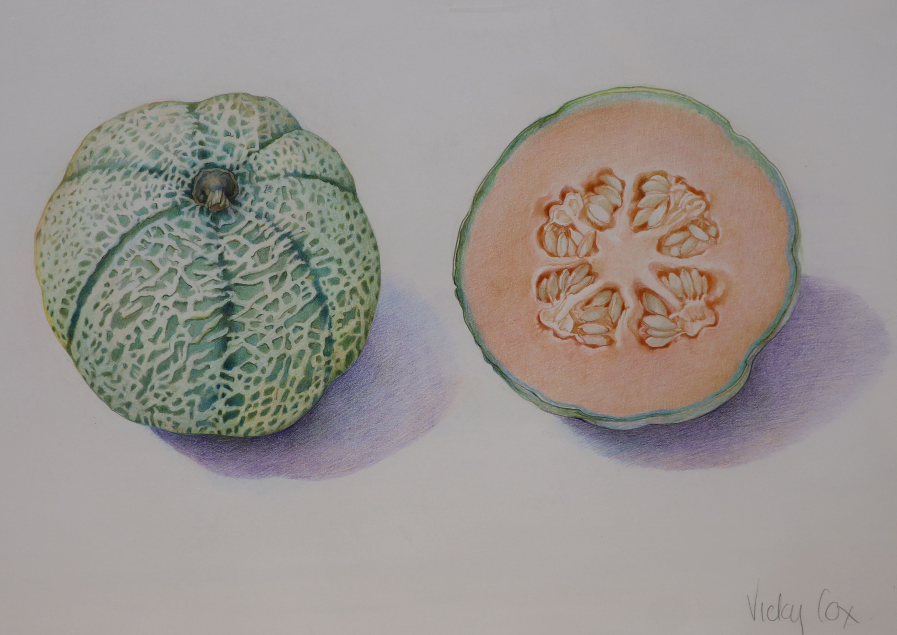 Vicky Cox (1943-1999), watercolour, Study of a melon, signed, 41 x 58cm